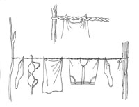 \"p565washing.web.jpg\"